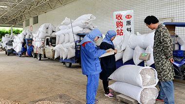 原料收购